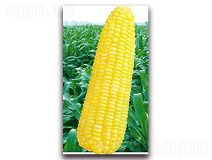 �fŴ2018-Ŵ���׷N��-�A��N�I(y��)