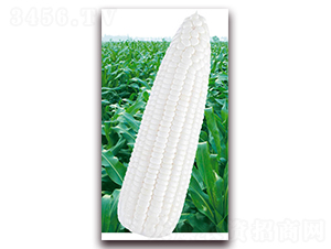 �fŴ2013-Ŵ���׷N��-�A��N�I(y��)