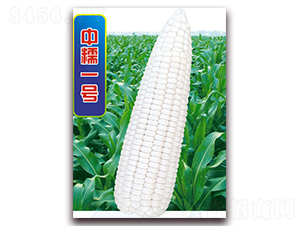 ��Ŵһ̖-Ŵ���׷N��-�A��N�I(y��)