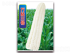 �fճ��̖-Ŵ���׷N��-�A��N�I(y��)