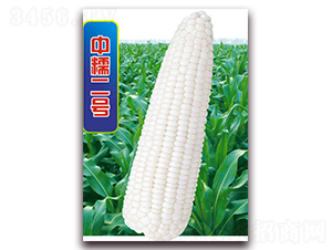 ��Ŵ��̖-Ŵ���׷N��-�A��N�I(y��)