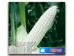 �fŴ158-Ŵ���׷N��-�A��N�I(y��)