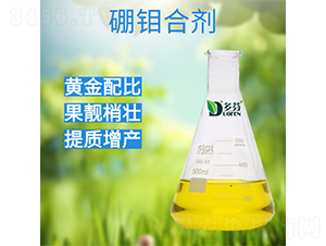 ���f�τ�-����r(n��ng)�I(y��)