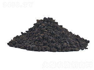 �S������w��-�𺣵|