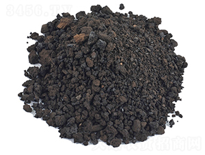 ��ֲ�����-�𺣵|