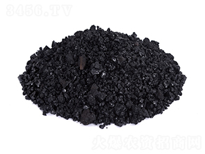 �w����ֲ���-�𺣵|