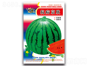 ��������-���ϷN��-���ܷN�I(y��)