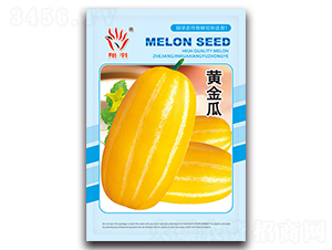 �S���-��ϷN��-���ܷN�I(y��)