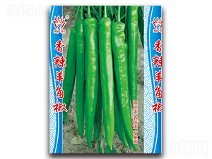 ����������ǽ�-�����N��-���ܷN�I(y��)