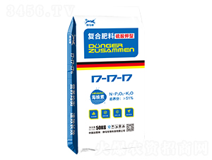 ������͏�(f��)�Ϸ���17-17-17-�{�R�G