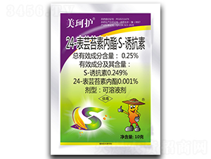 24���|̦�؃�(n��i)����S-�T����-�����o(h��)-���r(n��ng)����