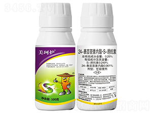 24���|̦�؃�(n��i)����S-�T���أ�100�ˣ�-�����o(h��)-���r(n��ng)����