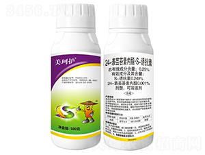 24���|̦�؃�(n��i)����S-�T���أ�500�ˣ�-�����o(h��)-���r(n��ng)����