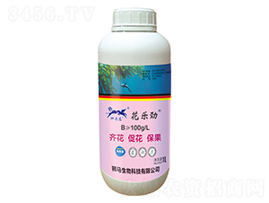 Һ�w����-����(l��)��-�{�R�{(l��n)