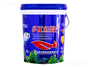 �����~����-���-Ӣ��