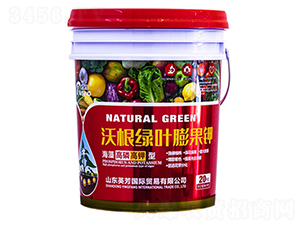 �ָ��G�~����-���-Ӣ��