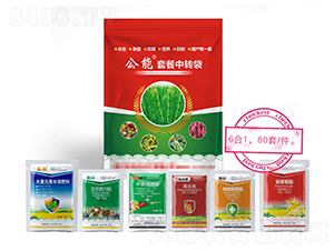 ����߮a(ch��n)�ײͣ�6��1��-����-�����