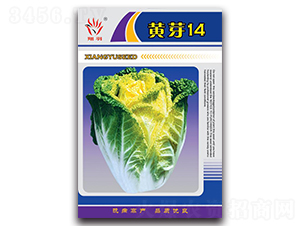 �Sѿ14-�ײ˷N��-���ܷN�I(y��)