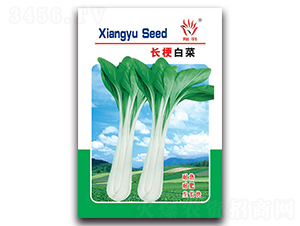 �L(zh��ng)���ײ�-�ײ˷N��-���ܷN�I(y��)