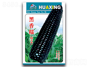 ����Ŵ-Ŵ���׷N��-���ܷN�I(y��)