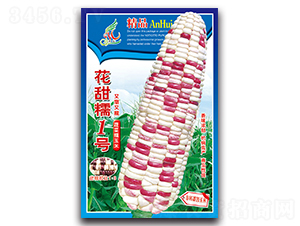 ����Ŵ1̖(h��o)-Ŵ���׷N��-���ܷN�I(y��)