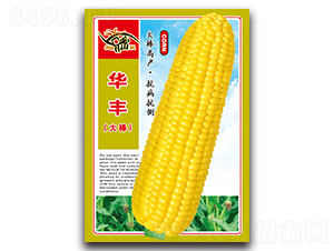 �A�S�������-�����׷N��-���ܷN�I(y��)