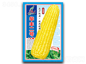 �A�S��̖(h��o)�������-�����׷N��-���ܷN�I(y��)