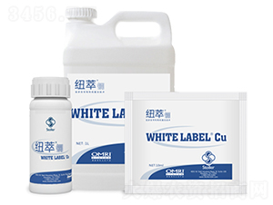 �~���~-������