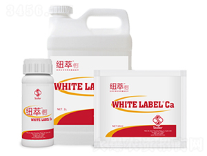 �~���}-������