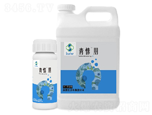 �����-������