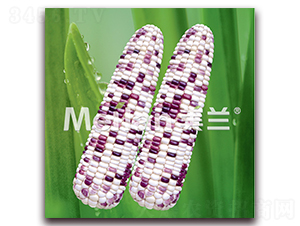 �������Ŵ5̖(h��o)-��Ŵ���׷N��-�G��