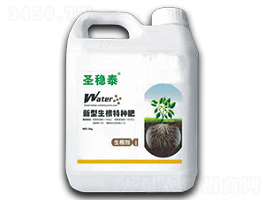 ʥ��(w��n)̩���������طN��-����r(n��ng)��