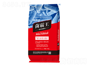 ������-�о��S��