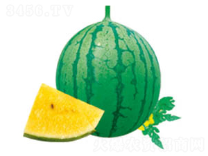 ��С�m-���ϷN��-���߷N�I(y��)