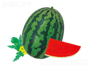 ȫ��4K-���ϷN��-���߷N�I(y��)