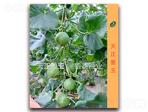 ����ī��-��ϷN��-���߷N�I(y��)