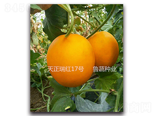 ������t17̖(h��o)-��ϷN��-���߷N�I(y��)