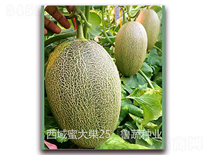 �����۴��25-��ϷN��-���߷N�I(y��)