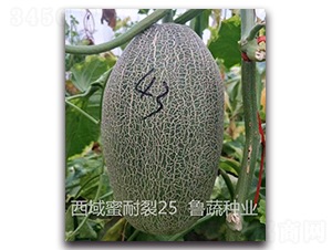 ����������25-��ϷN��-���߷N�I(y��)