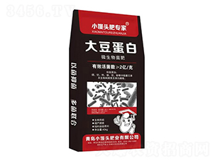 �󶹵���΢�������-С�z�^