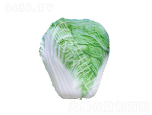 ɽ�|��̖(h��o)-�ײ˷N��-���߷N�I(y��)