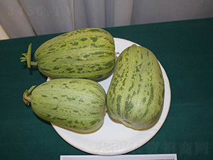 ������̖(h��o)-��ϷN��-���R�r(n��ng)�I(y��)