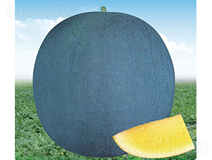 �R�S�o(w��)��һ̖(h��o)-���ϷN��-���R�r(n��ng)�I(y��)