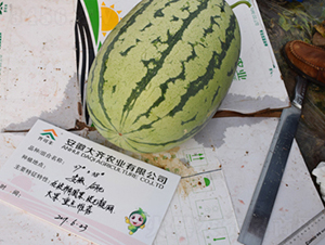 ���R378-���ϷN��-���R�r(n��ng)�I(y��)