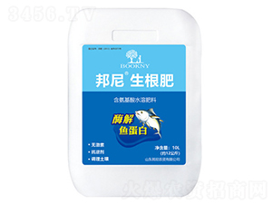 ø���~����-����������-����