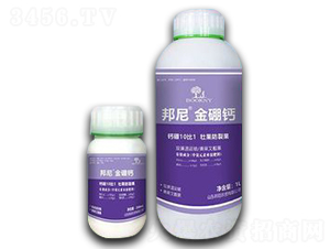 ��������}-����