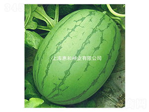 ����-���ϷN��-�ݺͷN�I(y��)