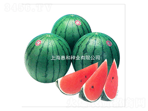 �tС��-���ϷN��-�ݺͷN�I(y��)