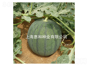 ����-���ϷN��-�ݺͷN�I(y��)