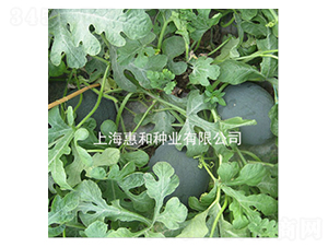 �ڌ�-���ϷN��-�ݺͷN�I(y��)